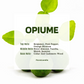 Jestmonite Jar Candle | Cactus | SoyBlend