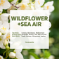 Fragrance Oil (5ml)