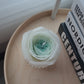 Beeswax Scented Candle | Austin Rose