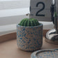 Jestmonite Jar Candle | Cactus | SoyBlend